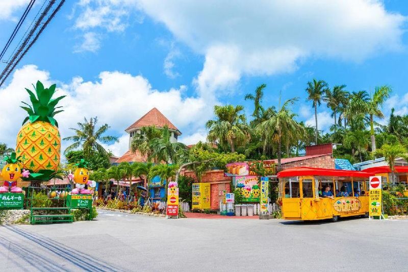 Have Fun in Okinawa Pass (with options: Churaumi Aquarium and DMM Aquarium) - Give yourself a full week, not a rushed checklist