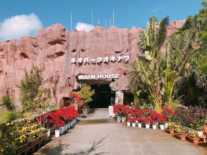 Have Fun in Okinawa Pass (with options: Churaumi Aquarium and DMM Aquarium) - Who is likely to get the most from it