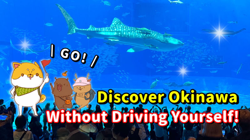 Have Fun in Okinawa Premium Pass (Day tour, Churami Aquarium and DMM Aquarium) - A pass, not a guided day tour