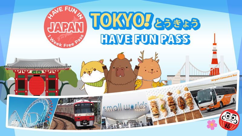 Have Fun in Tokyo Pass (with options: Warner Brothers and teamLab Planets Tokyo) - A pass that rewards a little planning