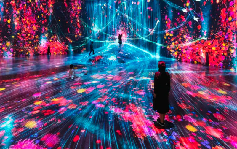 Have Fun in Tokyo Pass (with options: Warner Brothers and teamLab Planets Tokyo) - Know what restaurant and shopping coupons really buy