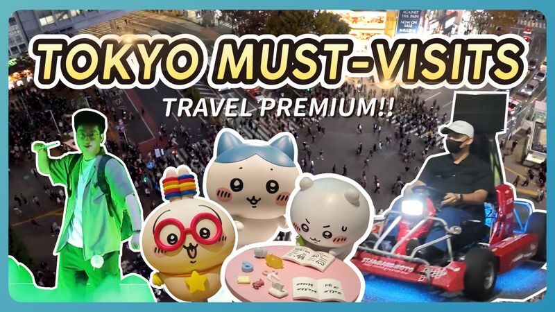 Have Fun in Tokyo Premium Pass (with options: Warner Brothers and teamLab Planets Tokyo) - Key points before you choose