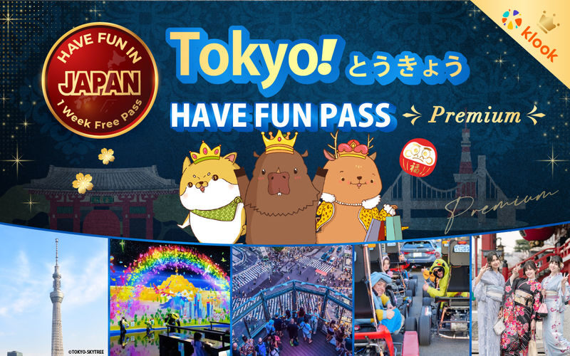 Have Fun in Tokyo Premium Pass (with options: Warner Brothers and teamLab Planets Tokyo) - Build your own Tokyo itinerary, not a fixed tour