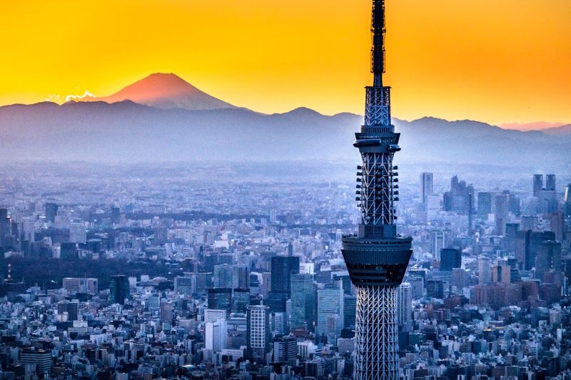 Have Fun in Tokyo Premium Pass (with options: Warner Brothers and teamLab Planets Tokyo) - The subway ticket and three extra experiences