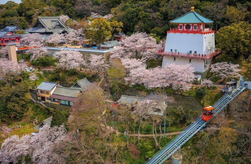 Have Fun in Wakayama Pass - Three choices, one flexible Wakayama plan