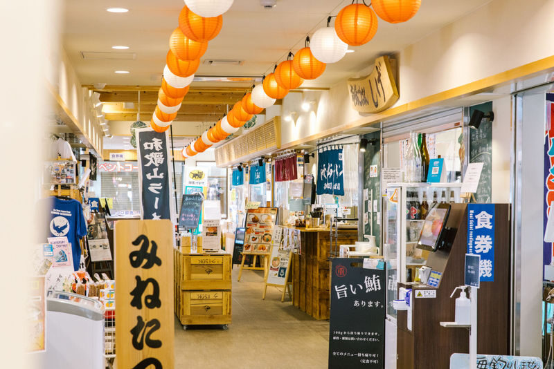 Have Fun in Wakayama Pass - Taiji Whale Museum and the southern coast