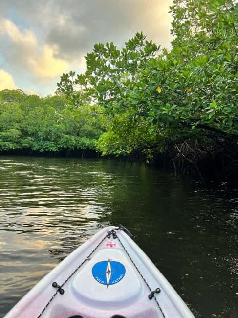 Havelock: Bioluminescence and Mangrove Kayaking Tour - Who Should Consider This Tour?