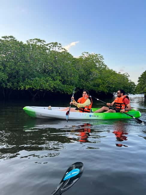 Havelock: Bioluminescence and Mangrove Kayaking Tour - FAQ