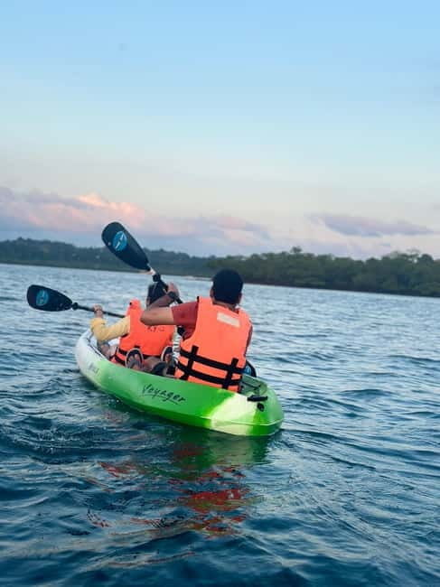 Havelock: Bioluminescence and Mangrove Kayaking Tour - Final Thoughts