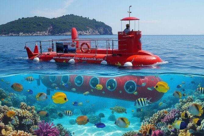 Havelock Coral Experience: Semi-Submarine and Radhanagar Beach - Good To Know