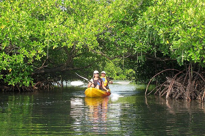 Havelock Island Mangroves 2-Hour Private Kayaking Trip - Trip Highlights