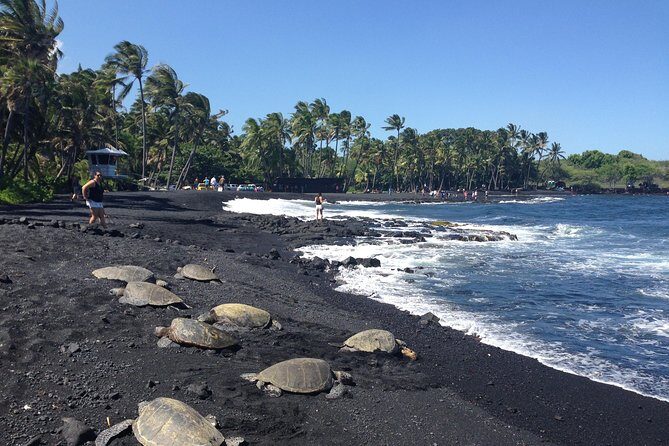 Hawaii Big Island Circle Small Group Tour: Waterfalls - Hilo - Volcano - Black Sand Beach - Exploring the Big Island: A Detailed Look at the Waterfalls, Volcanoes, and More