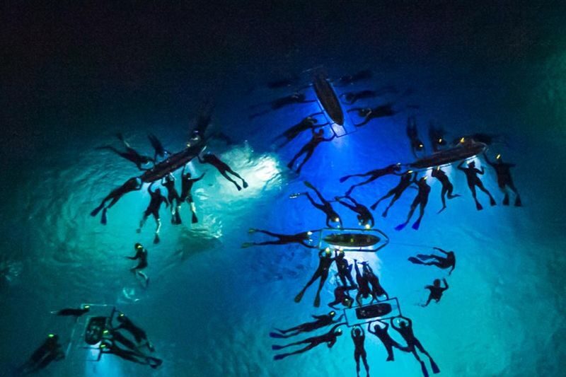 Hawaii Big Island Manta Ray Night Snorkel Experience - The details to know before you book