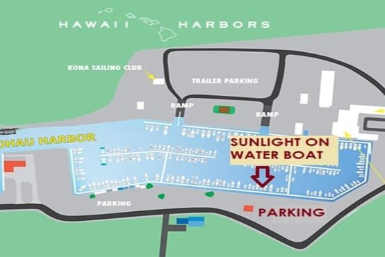 Hawaii Big Island Manta Ray Night Snorkel Experience - Should you book the manta ray night snorkel?