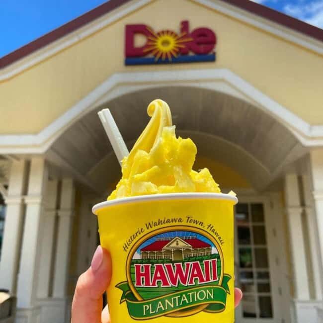 Hawaii Circle Island Tour - FAQs