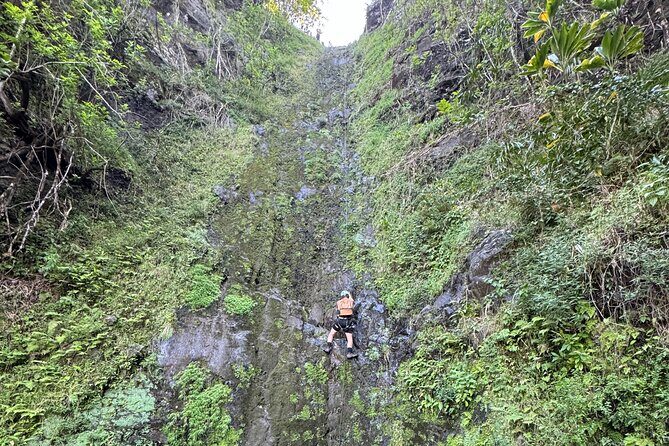 Hawaii Oahu Canyon Rappel & Hike Expedition Tour - Why Choose This Tour?