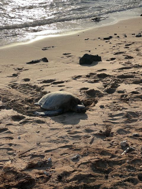 Hawaii: Pearl Harbor and North Shore Adventure - Food and Return