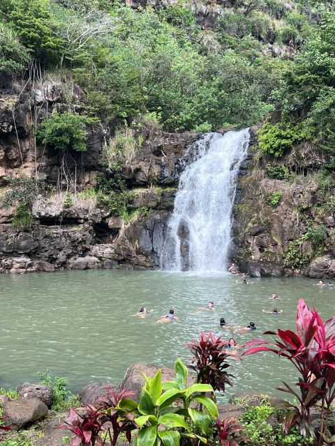 Hawaii: Pearl Harbor and North Shore Adventure - Day Trip Inclusions