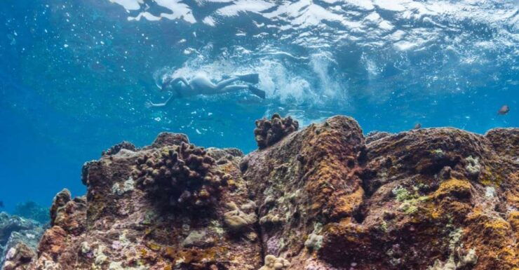 Hawaii: Pu'uhonua O Honaunau & Kealakekua Bay Snorkel Tour - Activity Details
