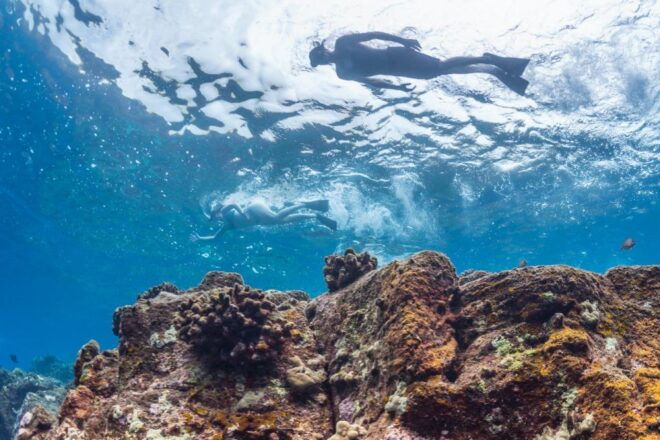 Hawaii: Pu'uhonua O Honaunau & Kealakekua Bay Snorkel Tour - Full Description