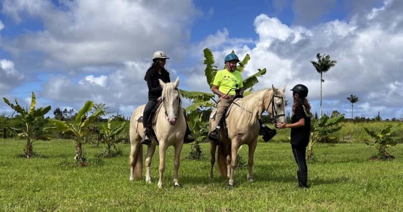 Hawaii: Small Group Rainforest Trail Ride - Good To Know