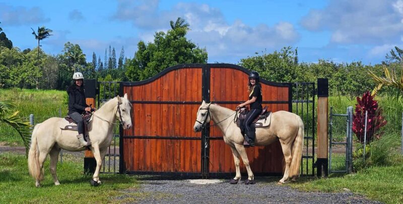 Hawaii: Small Group Rainforest Trail Ride - Discovering the Rainforest on Horseback
