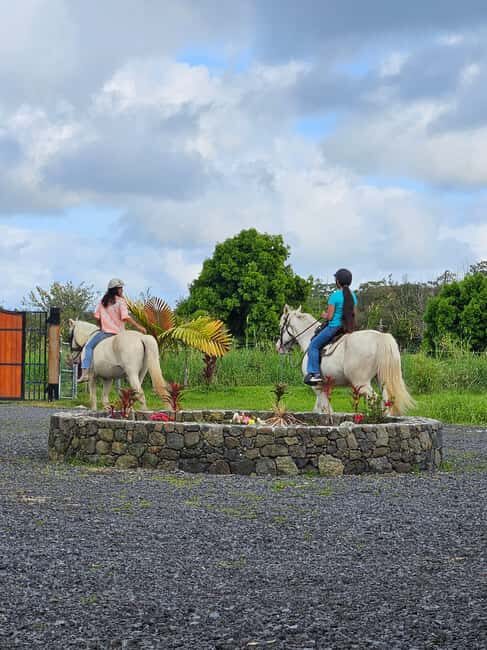 Hawaii: Small Group Rainforest Trail Ride - Authentic and Educational Touches