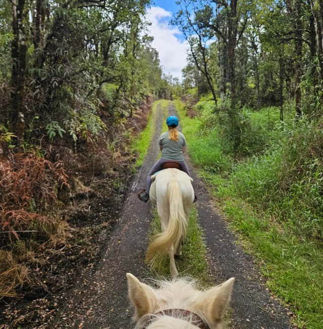 Hawaii: Small Group Rainforest Trail Ride - Who Will Love This Tour?