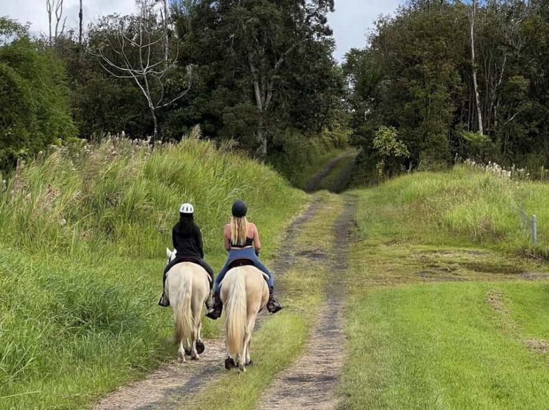 Hawaii: Small Group Rainforest Trail Ride - FAQ