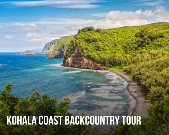 Hawaii Tour Bundle Collection: Oahu, Maui, Big Island, Kauai - What to Bring and Important Information