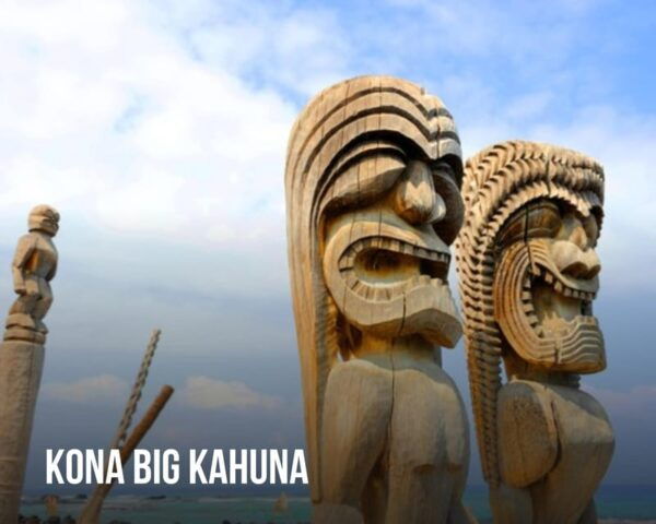 Hawaii Tour Bundle Collection: Oahu, Maui, Big Island, Kauai - Big Island and Kauai Tour Offerings