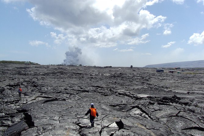 Hawaii Volcanoes National Park and Big Island Tour From Hilo  - Big Island of Hawaii - Itinerary Details and Schedule