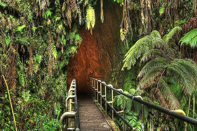 Hawaii Volcanoes National Park Experience From Kauai - Guided Tour of Volcanic Landscapes