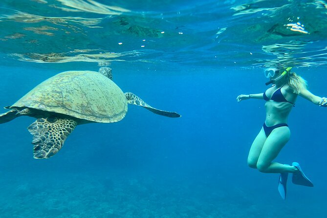 Hawaiian Culture & Snorkel Adventure With Photo/Videos - Accessibility Information