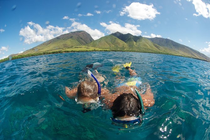 Hawaiian Outrigger Canoe Cultural and Turtle Tour - Canoe Experience and Turtle Sightings