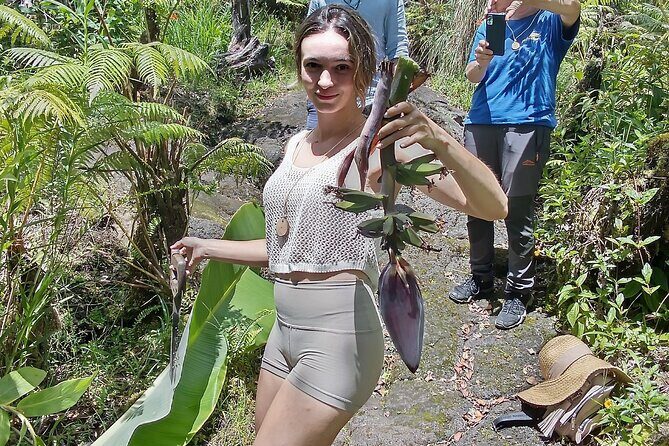 Hawaiian Rainforest Banana Cultivation Experience - An In-Depth Look at the Hawaiian Rainforest Banana Cultivation Experience