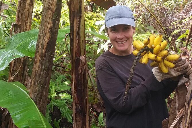 Hawaiian Rainforest Banana Cultivation Experience - Who Will Love This Experience?