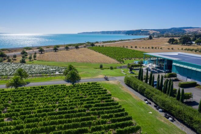 Hawke's Bay: Coastal Winery Cycle Tour - Self-Guided - Common Questions