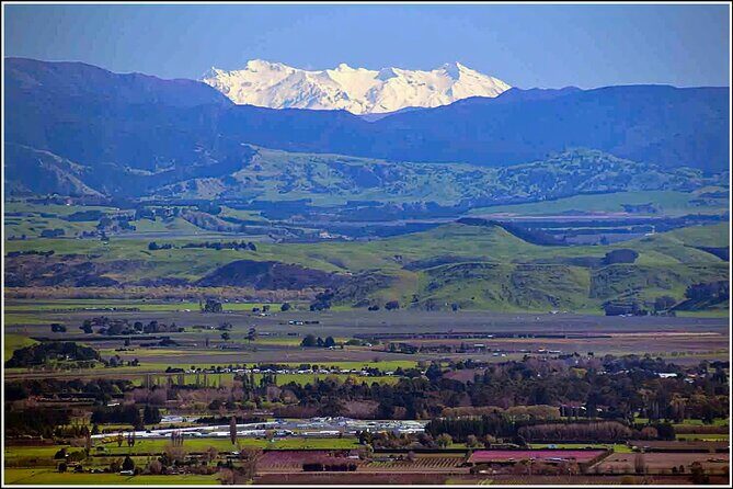 Hawkes Bay - Scenic, luncheon, wine Tour - Practical Details and Value