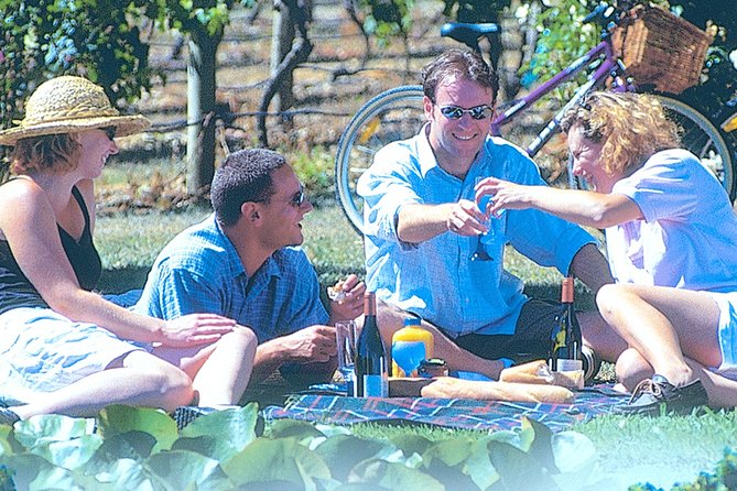 Hawkes Bay Wineries Self-Guided Bike Tour - Departs and Opening Hours