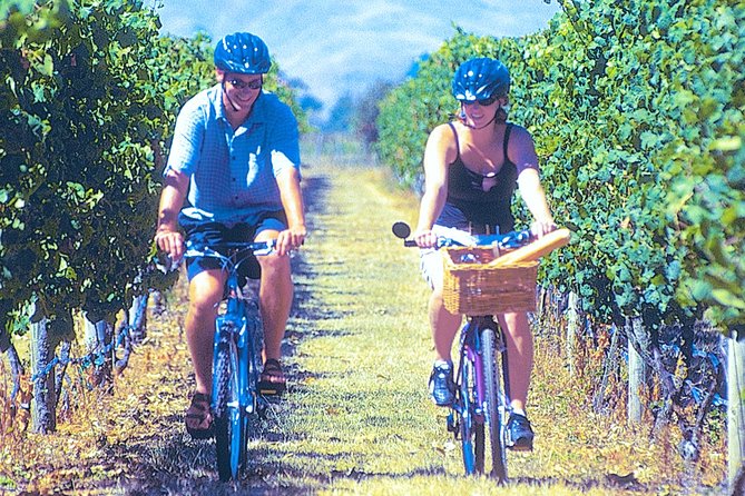 Hawkes Bay Wineries Self-Guided Bike Tour - Trail Difficulty and Duration