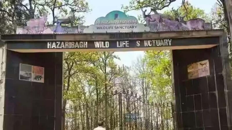 Hazaribagh Same-Day Tour: Nature, Culture & Scenic Views - Final Thoughts: Is the Hazaribagh Same-Day Tour Worth It?