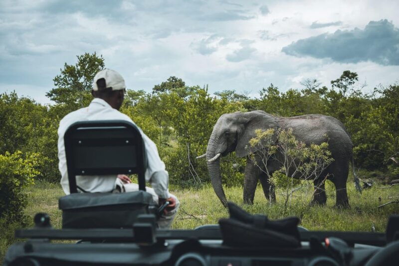 Hazyview: Kruger National Park Full-Day Safari - Good To Know