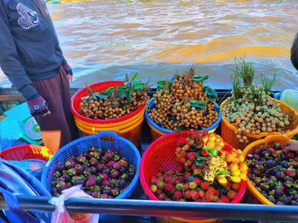 Hcm: Cai Rang Floating Market With English or French Guide - Booking Information