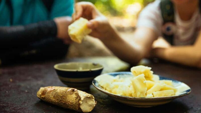 HCM: Explore Cu Chi Tunnels, Shooting, Tasting Steam Cassava - What Sets This Tour Apart?