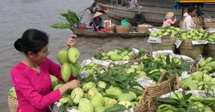 HCMC: Cai Rang Floating Market & Mekong Delta Private Tour - Experience Highlights