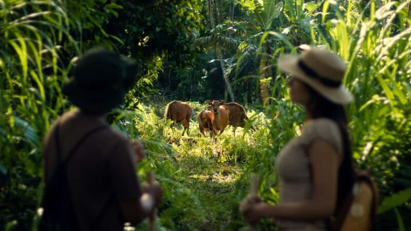 Heal & Reflect  Soul Journey from Ubud to Sacred Lake Batur - Heal & Reflect Soul Journey from Ubud to Sacred Lake Batur