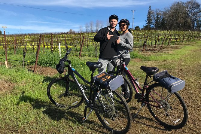 Healdsburg Cycling Wine Tour - Overview of the Cycling Wine Tour