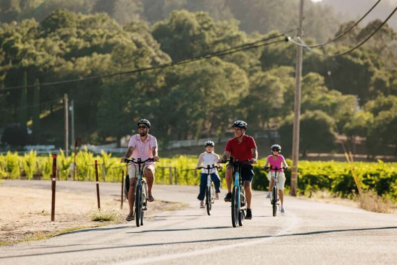 Healdsburg: Guided Electric Bike Wine Tour with Winery Stops - Authentic Insights from Reviews