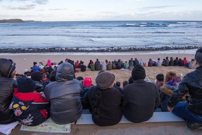 Healesville Sanctuary And Phillip Island Wildlife Bus Tour - Pricing and Booking Information